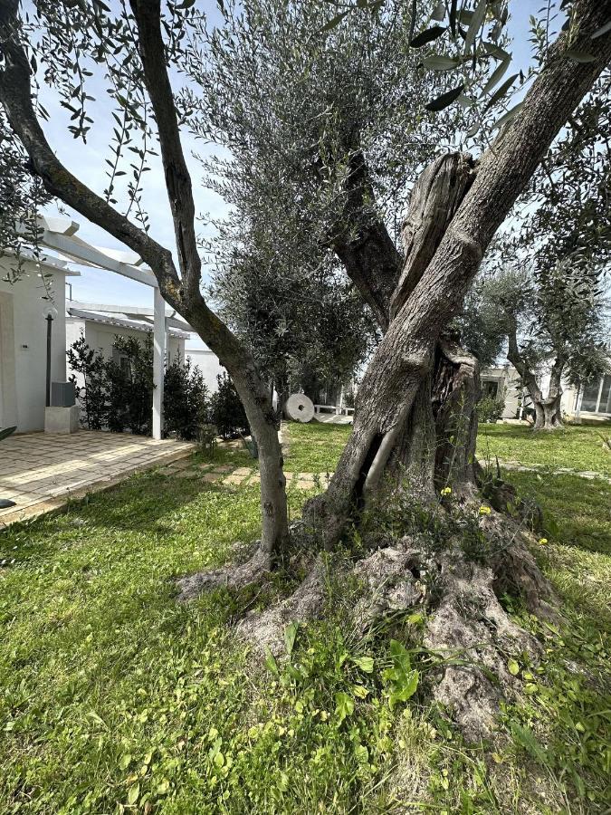 Frontemare Hotel Village & Ristorante رودي غارغانيكو المظهر الخارجي الصورة